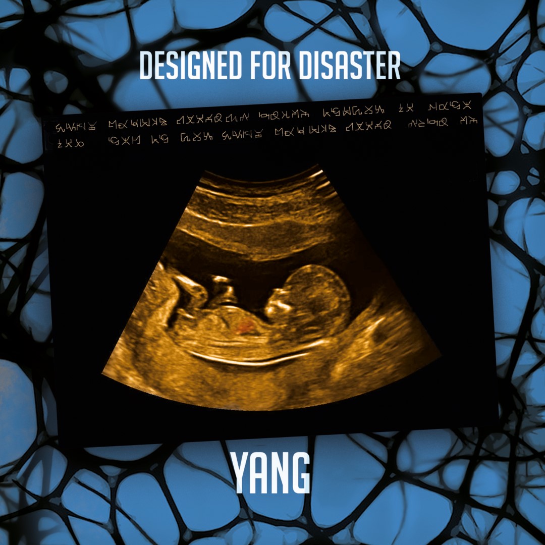 DESIGNED FOR DISASTER